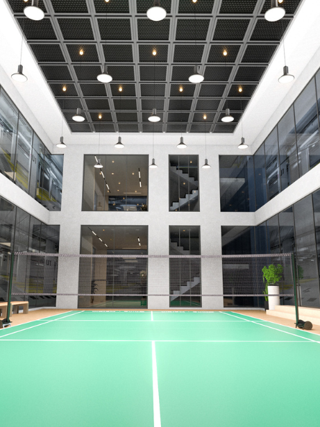 Multi Sports Arena